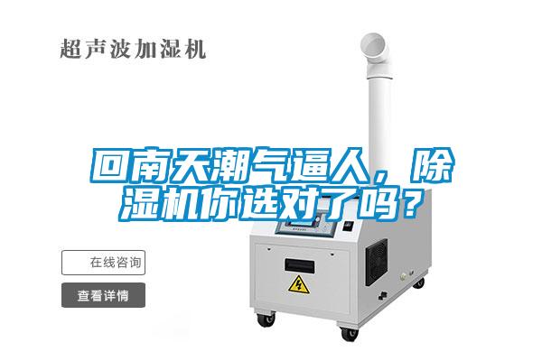 回南天潮氣逼人，除濕機你選對了嗎？