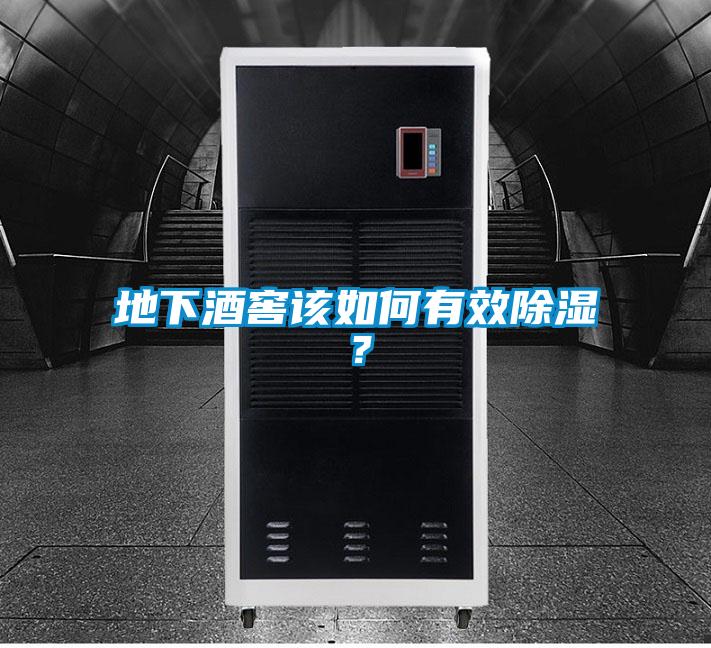地下酒窖該如何有效除濕？