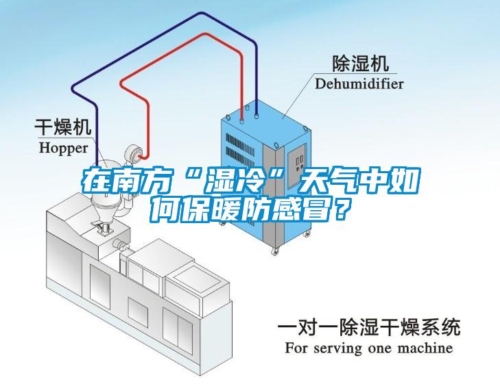 在南方“濕冷”天氣中如何保暖防感冒？