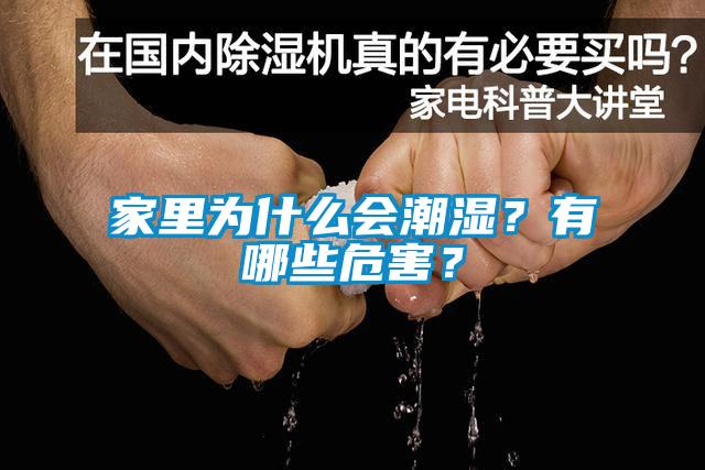 家里為什么會潮濕？有哪些危害？