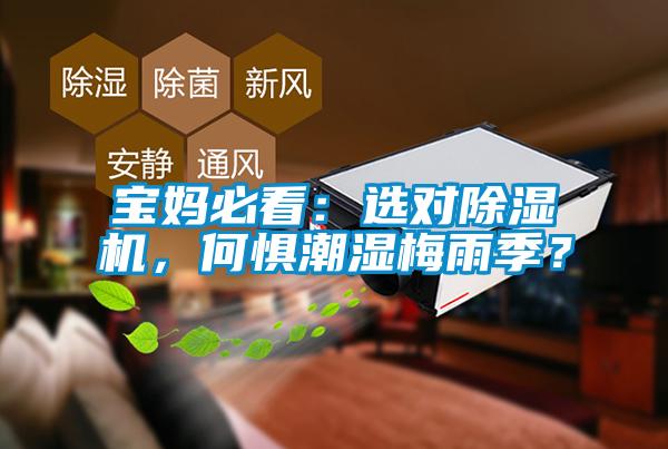 寶媽必看：選對除濕機(jī)，何懼潮濕梅雨季？