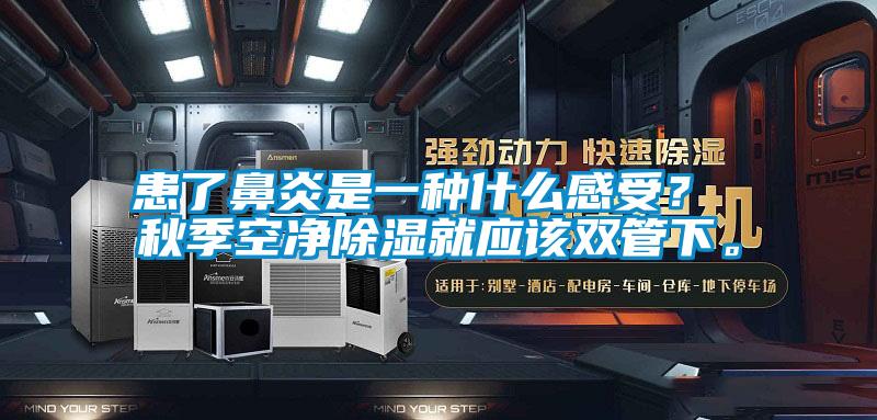 患了鼻炎是一種什么感受？ 秋季空凈除濕就應(yīng)該雙管下。