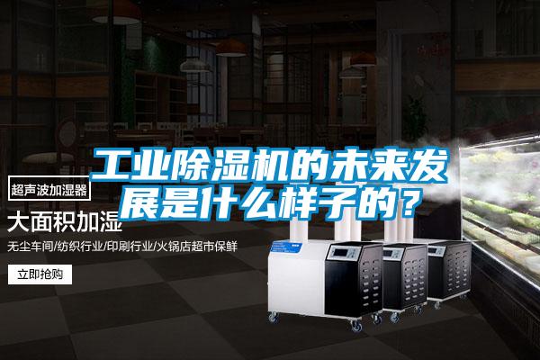 工業(yè)除濕機的未來發(fā)展是什么樣子的？
