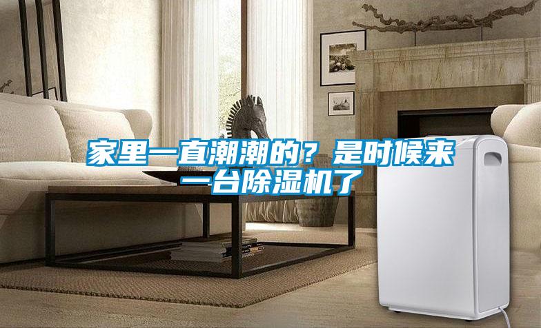 家里一直潮潮的？是時(shí)候來(lái)一臺(tái)除濕機(jī)了
