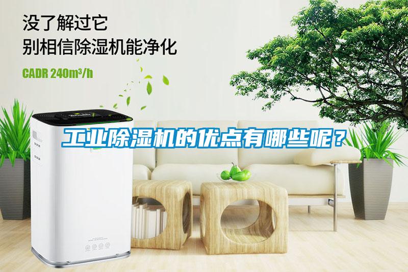 工業(yè)除濕機(jī)的優(yōu)點(diǎn)有哪些呢？