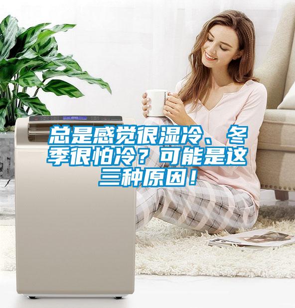 總是感覺很濕冷、冬季很怕冷？可能是這三種原因！