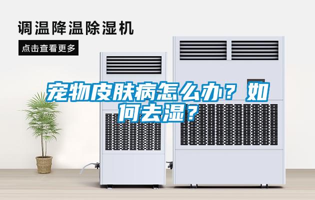 寵物皮膚病怎么辦？如何去濕？