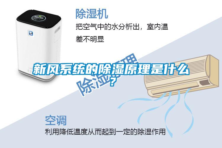 新風(fēng)系統(tǒng)的除濕原理是什么？