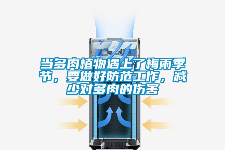 當(dāng)多肉植物遇上了梅雨季節(jié)，要做好防范工作，減少對多肉的傷害