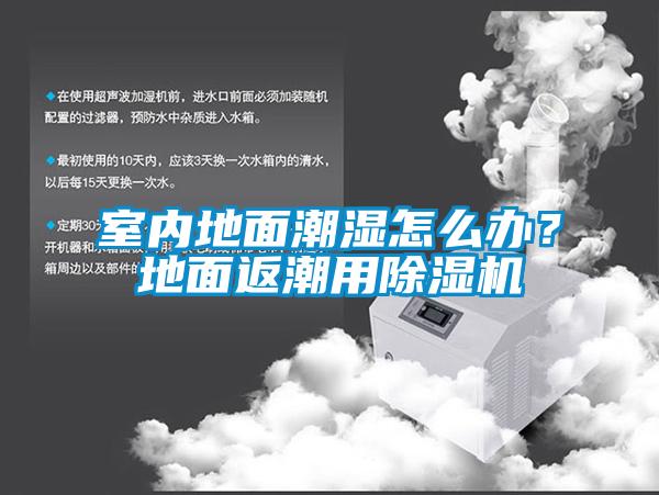 室內(nèi)地面潮濕怎么辦？地面返潮用除濕機(jī)