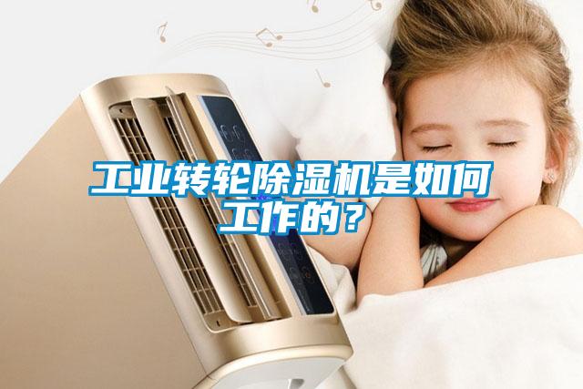 工業(yè)轉(zhuǎn)輪除濕機是如何工作的？