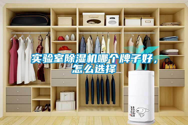 實驗室除濕機哪個牌子好，怎么選擇