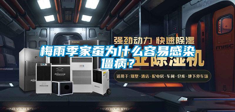 梅雨季家蠶為什么容易感染僵??？