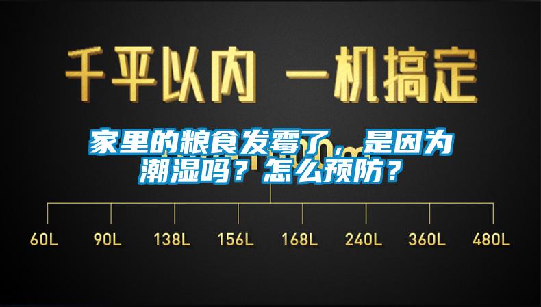 家里的糧食發(fā)霉了，是因為潮濕嗎？怎么預(yù)防？