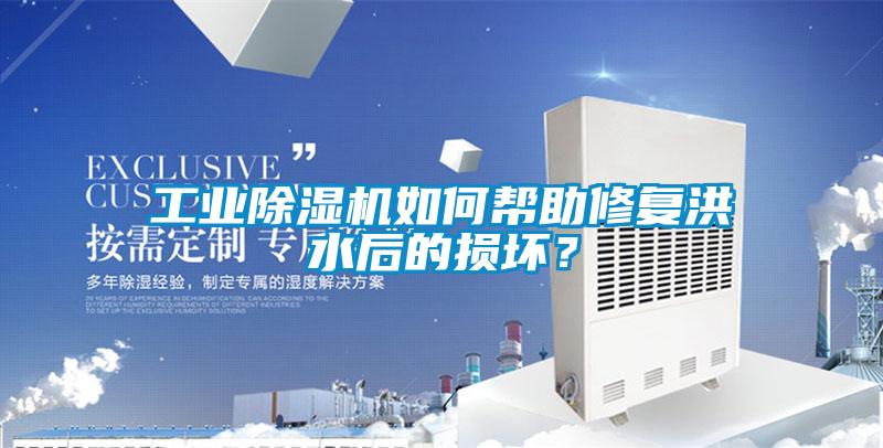 工業(yè)除濕機(jī)如何幫助修復(fù)洪水后的損壞？