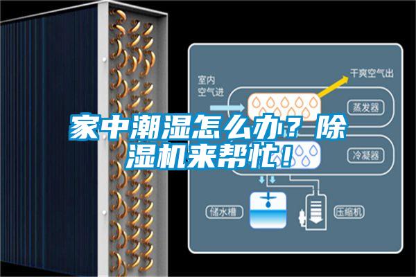 家中潮濕怎么辦？除濕機(jī)來幫忙！