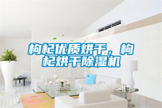 枸杞優(yōu)質(zhì)烘干，枸杞烘干除濕機