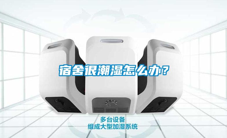 宿舍很潮濕怎么辦？