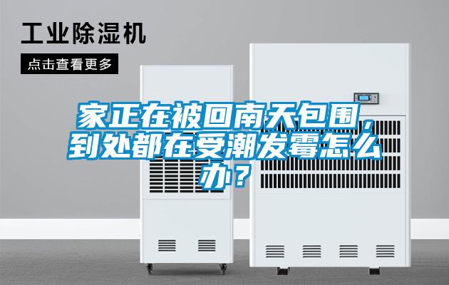 家正在被回南天包圍，到處都在受潮發(fā)霉怎么辦？