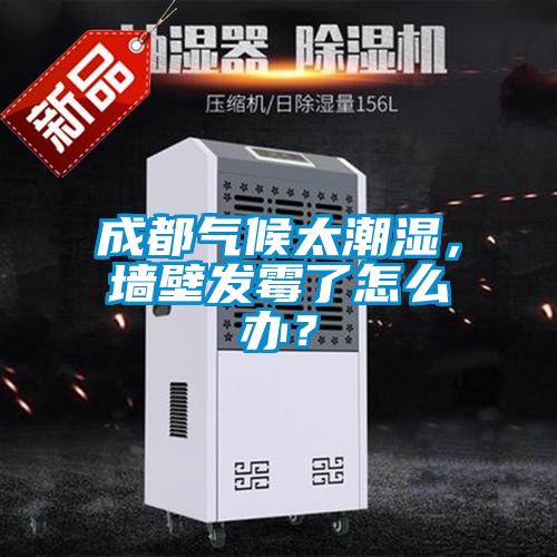 成都?xì)夂蛱睗瘢瑝Ρ诎l(fā)霉了怎么辦？