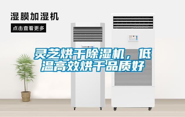 靈芝烘干除濕機(jī)，低溫高效烘干品質(zhì)好