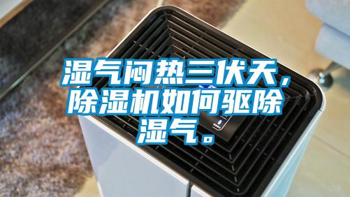 濕氣悶熱三伏天，除濕機(jī)如何驅(qū)除濕氣。