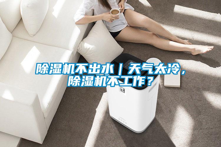 除濕機(jī)不出水｜天氣太冷，除濕機(jī)不工作？