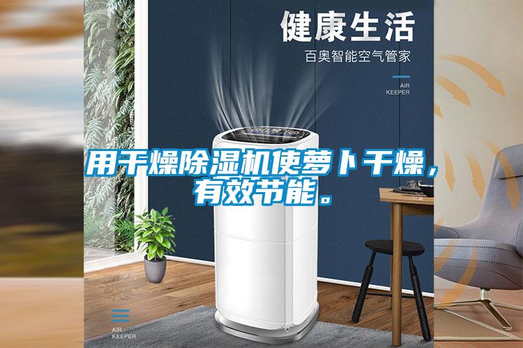 用干燥除濕機使蘿卜干燥，有效節(jié)能。