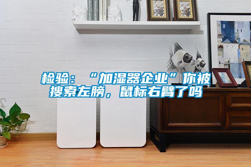 檢驗：“加濕器企業(yè)”你被搜索左膀，鼠標(biāo)右臂了嗎