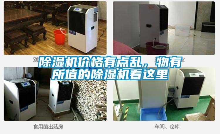 除濕機(jī)價(jià)格有點(diǎn)亂，物有所值的除濕機(jī)看這里