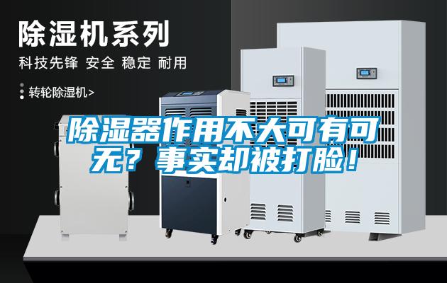 除濕器作用不大可有可無(wú)？事實(shí)卻被打臉！