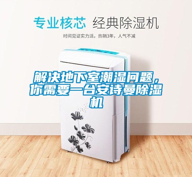 解決地下室潮濕問題，你需要一臺安詩曼除濕機