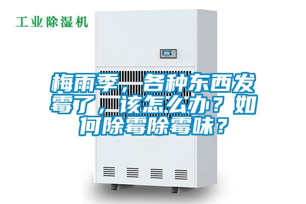梅雨季，各種東西發(fā)霉了，該怎么辦？如何除霉除霉味？