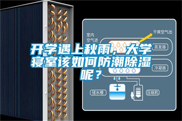 開學(xué)遇上秋雨，大學(xué)寢室該如何防潮除濕呢？