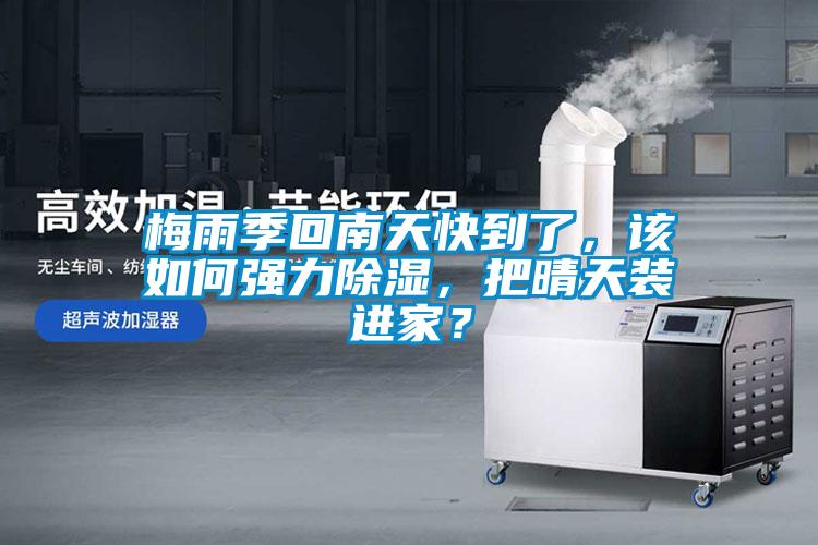 梅雨季回南天快到了，該如何強力除濕，把晴天裝進家？