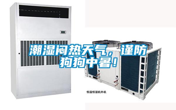 潮濕悶熱天氣，謹(jǐn)防狗狗中暑！