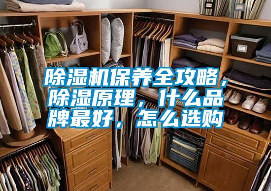 除濕機(jī)保養(yǎng)全攻略，除濕原理，什么品牌最好，怎么選購