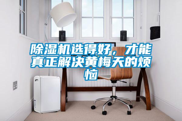 除濕機(jī)選得好，才能真正解決黃梅天的煩惱