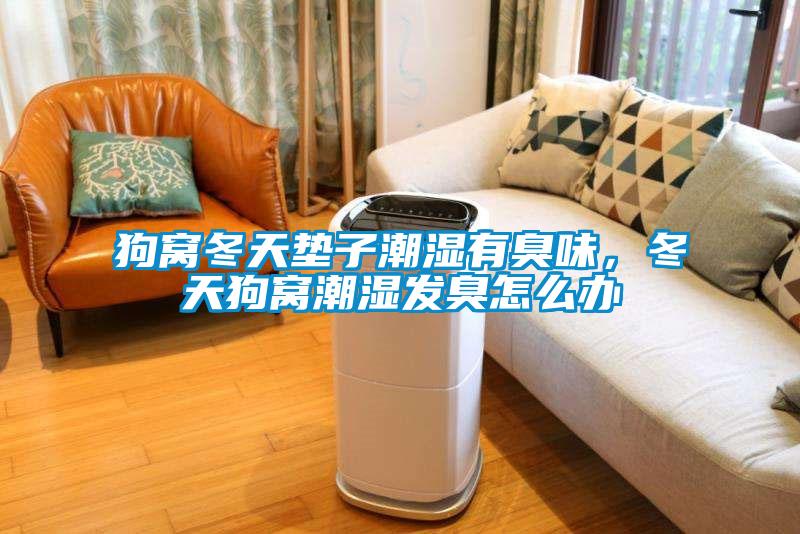 狗窩冬天墊子潮濕有臭味，冬天狗窩潮濕發(fā)臭怎么辦