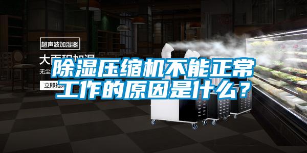 除濕壓縮機(jī)不能正常工作的原因是什么？