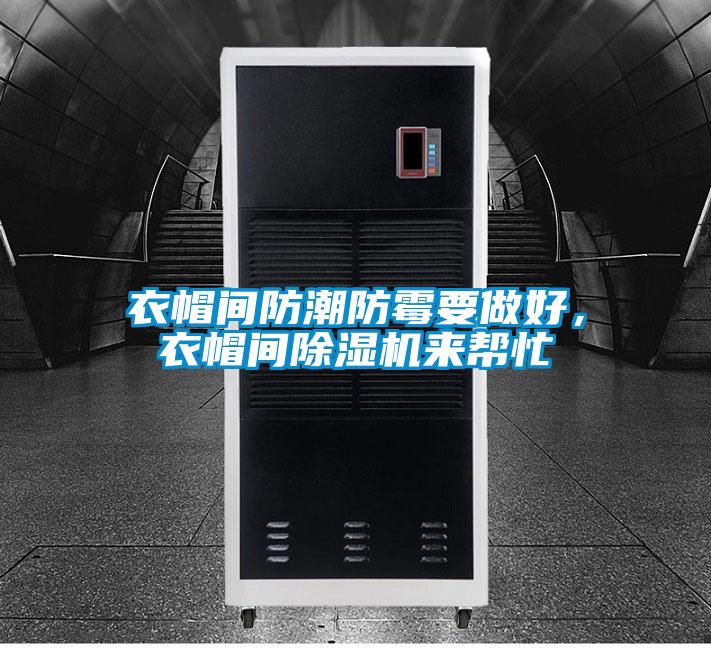 衣帽間防潮防霉要做好，衣帽間除濕機(jī)來幫忙