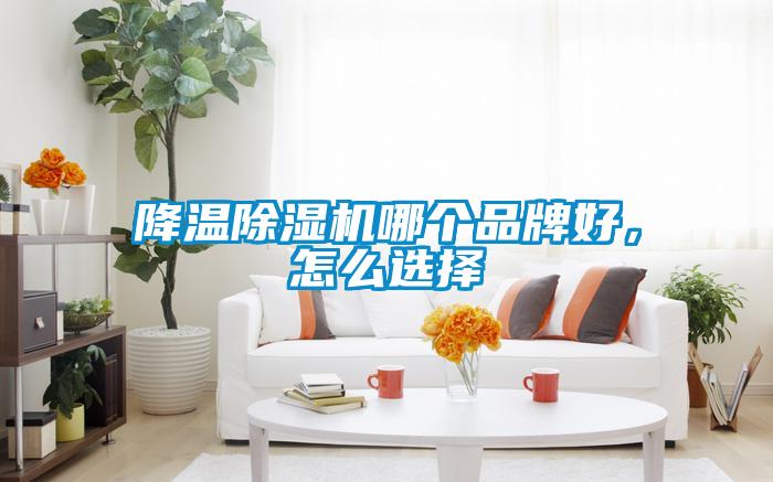 降溫除濕機(jī)哪個(gè)品牌好，怎么選擇