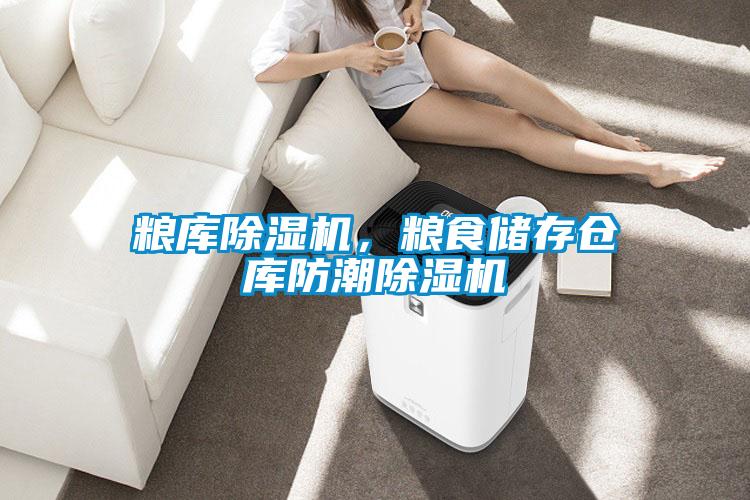 糧庫(kù)除濕機(jī)，糧食儲(chǔ)存?zhèn)}庫(kù)防潮除濕機(jī)