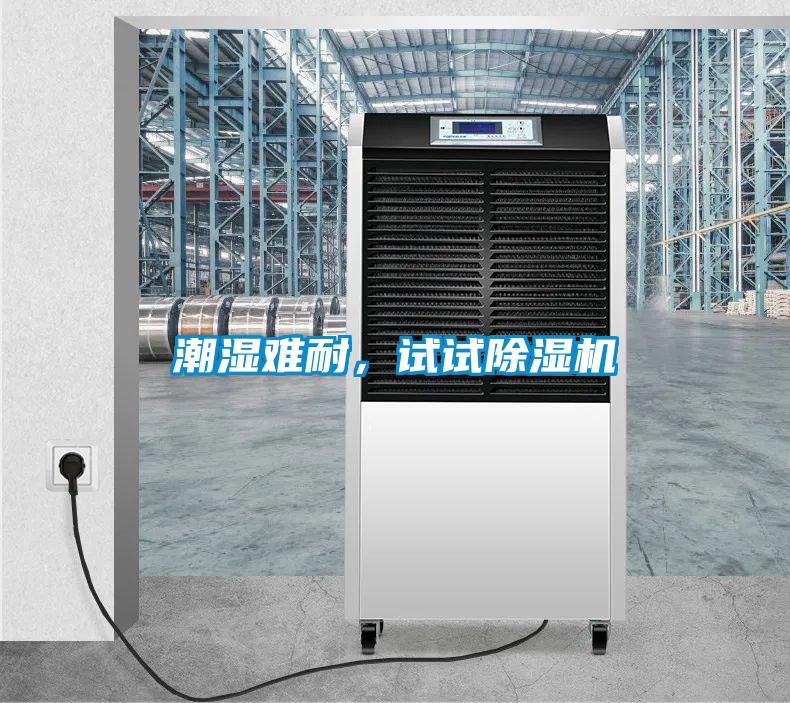 潮濕難耐，試試除濕機(jī)