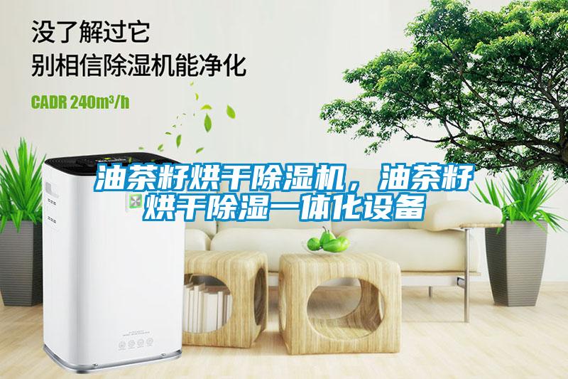 油茶籽烘干除濕機(jī)，油茶籽烘干除濕一體化設(shè)備