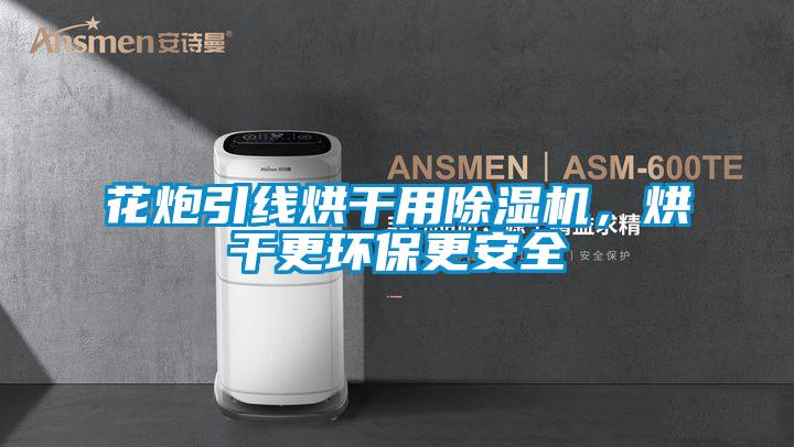花炮引線烘干用除濕機，烘干更環(huán)保更安全