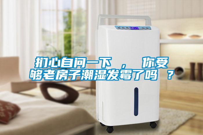 捫心自問一下 ， 你受夠老房子潮濕發(fā)霉了嗎 ？