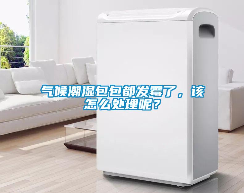氣候潮濕包包都發(fā)霉了，該怎么處理呢？