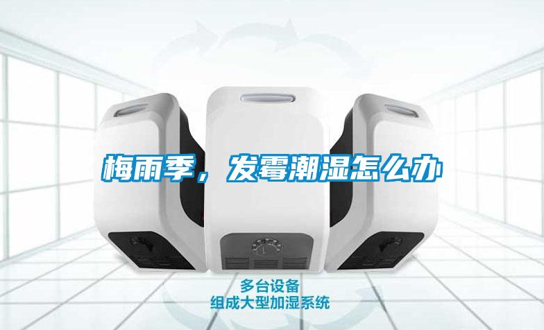 梅雨季，發(fā)霉潮濕怎么辦
