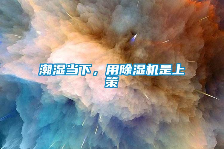 潮濕當(dāng)下，用除濕機是上策